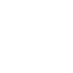 Logo An Đạt Phát