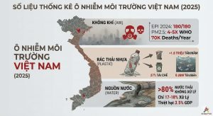 Số Liệu Thống Kê Về Ô Nhiễm Môi Trường Ở Việt Nam